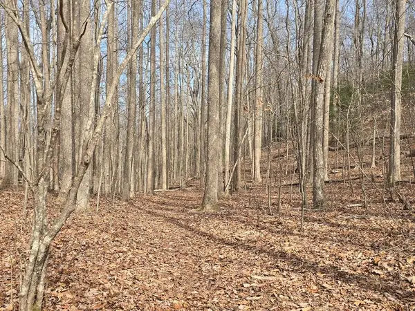 13.75 Ac Caesar Gap Road, Hiawassee, GA 30546