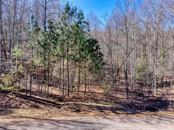 LOT 27 Trailwood Drive, Blairsville, GA 30512