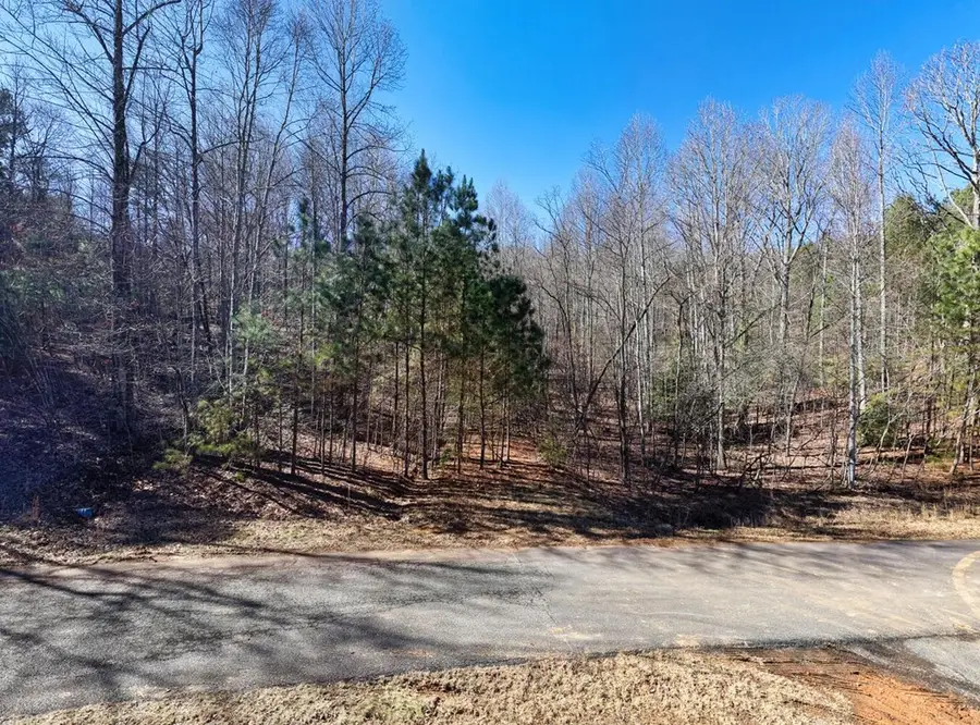 LOT 27 Trailwood Drive, Blairsville, GA 30512 - #3