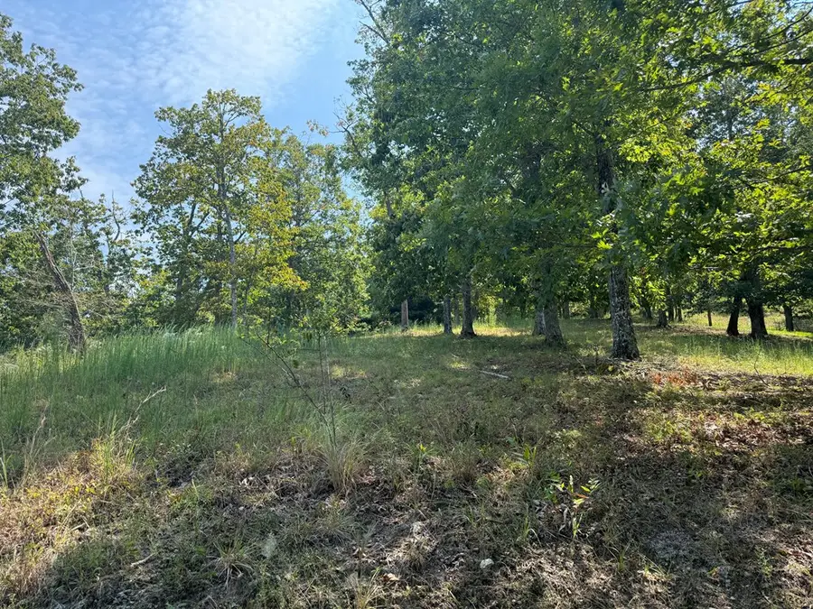 0 Madison Lane, Murphy, NC 28906 - #3