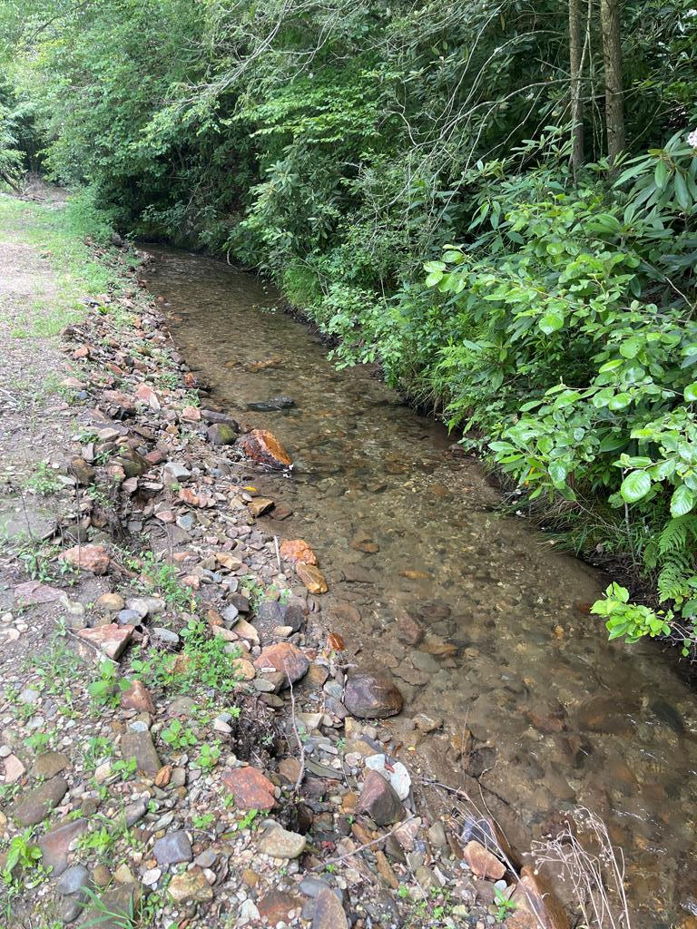 00 West Road, Murphy, NC 28906 - #1