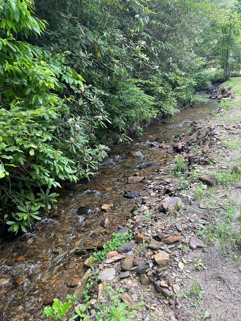 00 West Road, Murphy, NC 28906 - #2