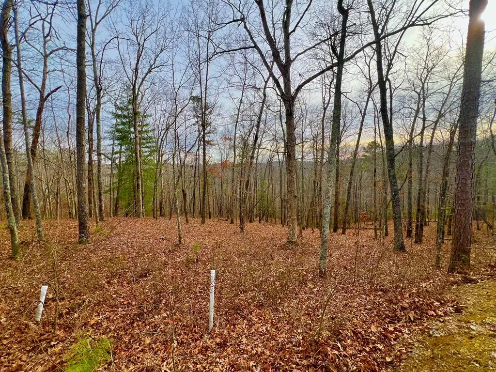 208 Harris Ridge Drive, Ellijay, GA 30540 - #1