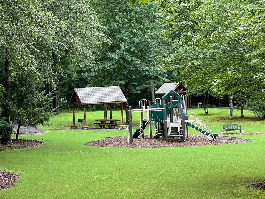 208 Harris Ridge Drive, Ellijay, GA 30540 - #3