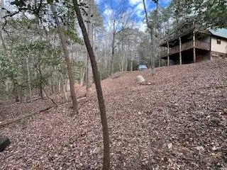 216 Holly Hill Drive, Blairsville, GA 30512 - #3