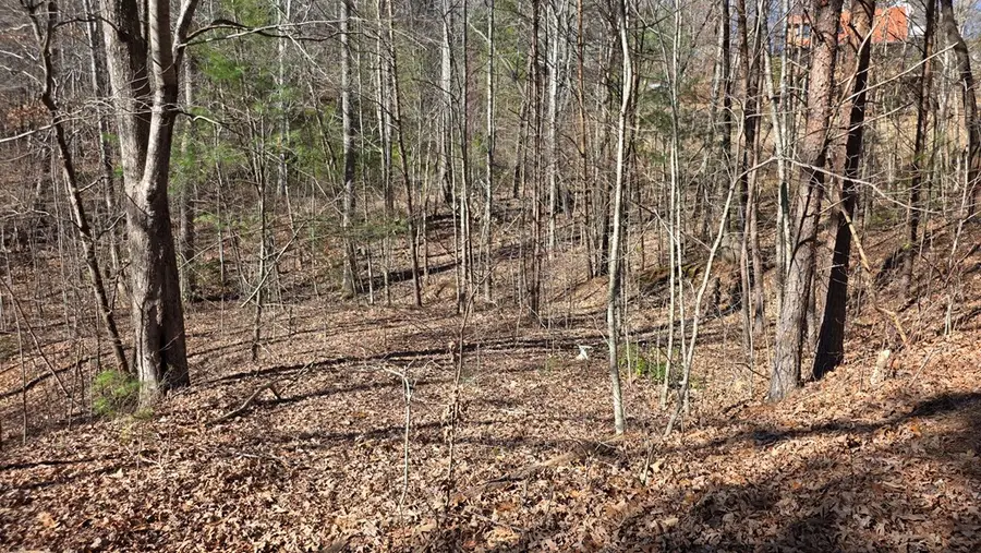 Lt 11 Mountain Laurel Est., Young Harris, GA 30582 - #2