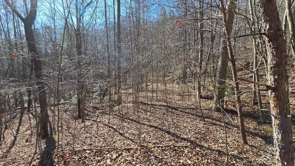 Lt 12 Mountain Laurel Est., Young Harris, GA 30582