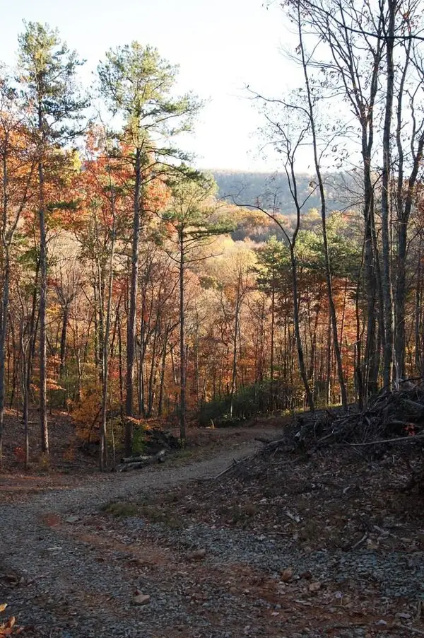 0 Paradise Lane, Blue Ridge, GA 30513