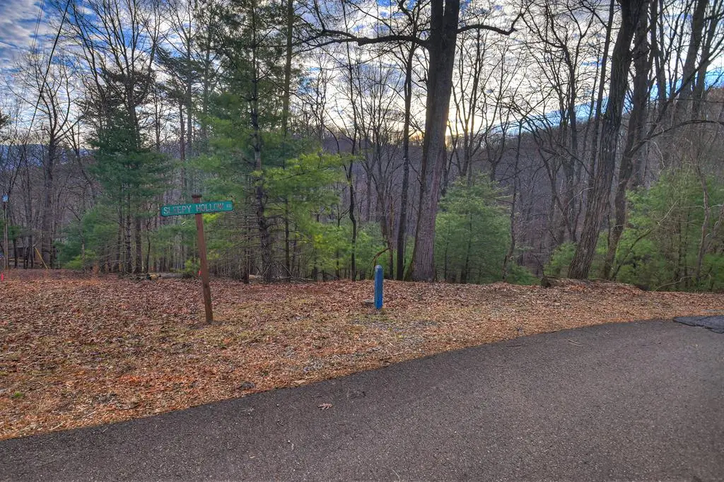 LT M57 Walnut Mountain Court, Ellijay, GA 30536 - #1