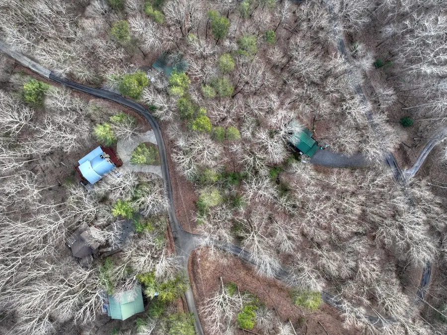 LT M57 Walnut Mountain Court, Ellijay, GA 30536 - #3