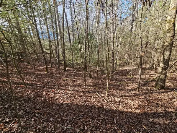 Lot 77 Roaring Forks Lane, Ellijay, GA 30540