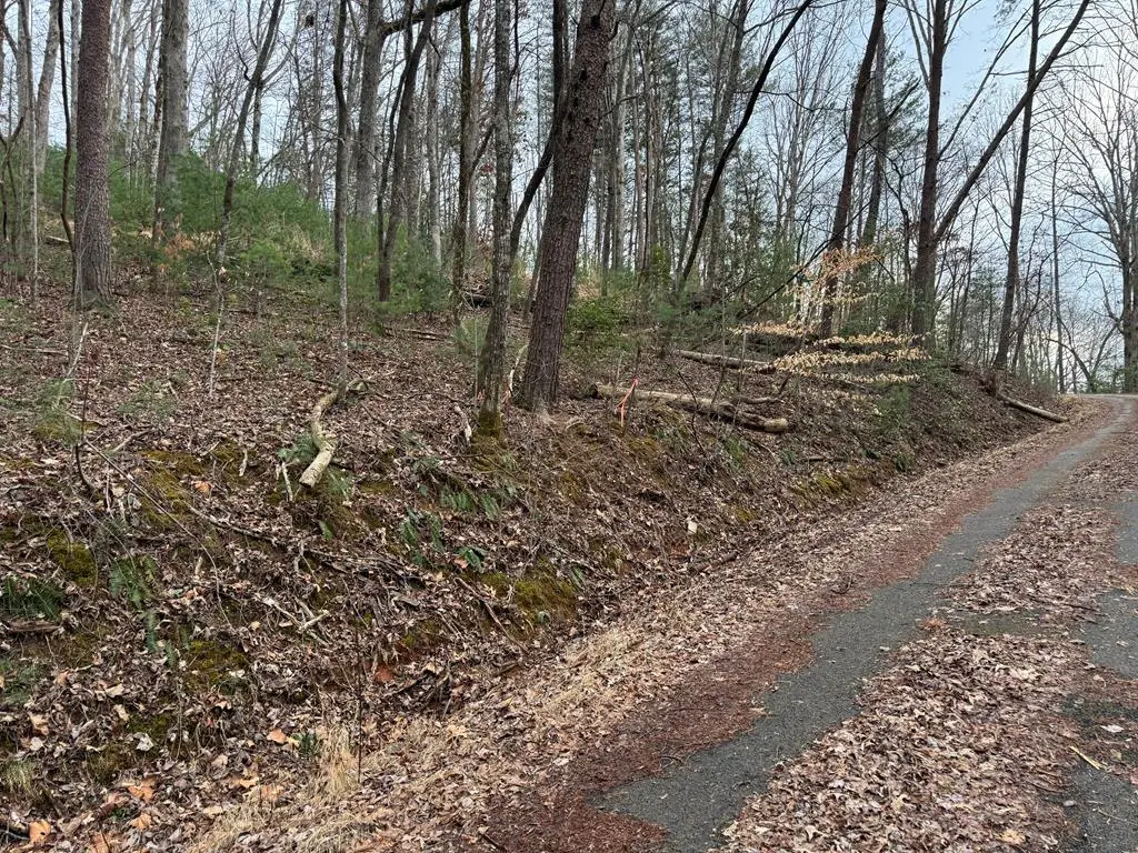 29,30 Sunset Drive W, Young Harris, GA 30585 - #1