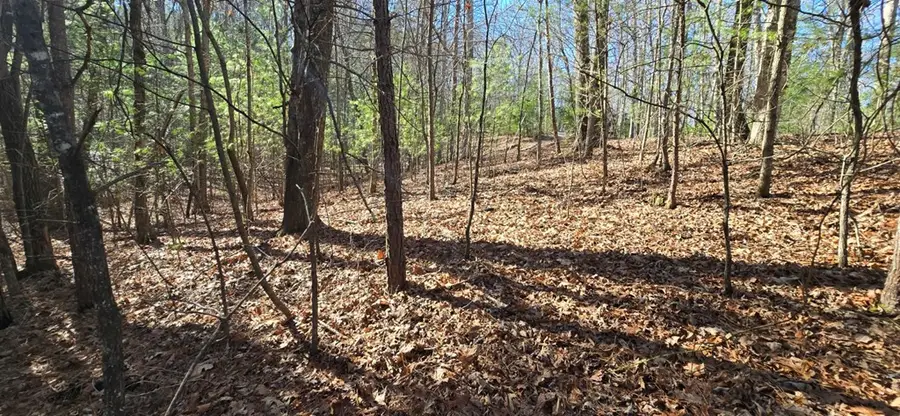 Lot 12 Oak Loop, Mineral Bluff, GA 30559 - #3