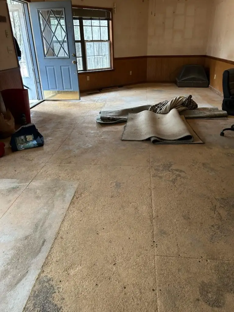 26 Carrie Lane, Blairsville, GA 30512 - #2