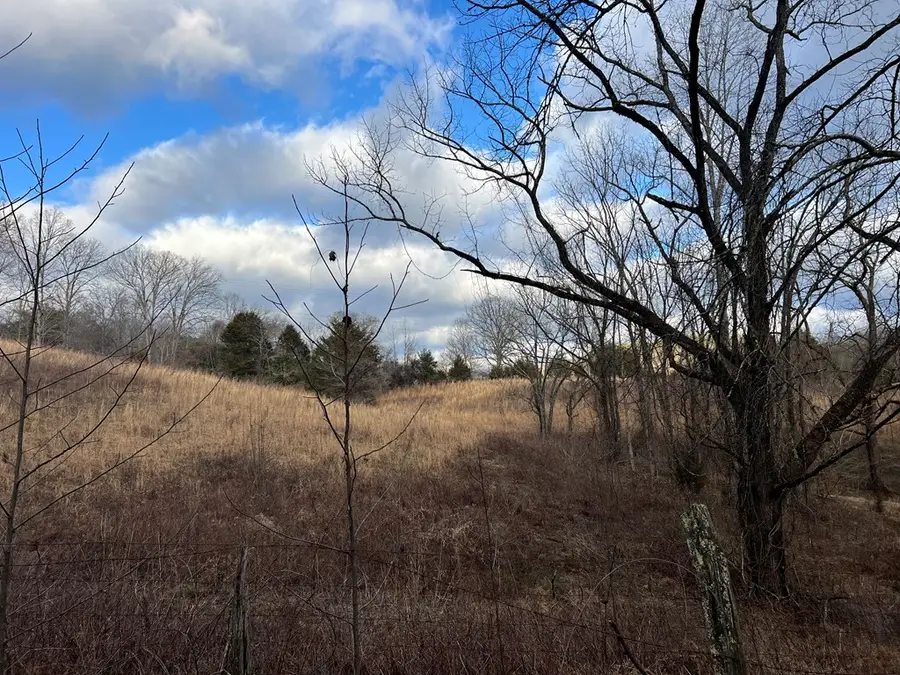 0 Smith Road, Brasstown, NC 28902 - #3