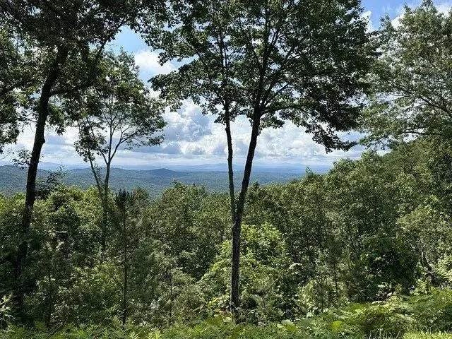 Lot 46 Utana Bluffs Trail, Ellijay, GA 30540 - #1