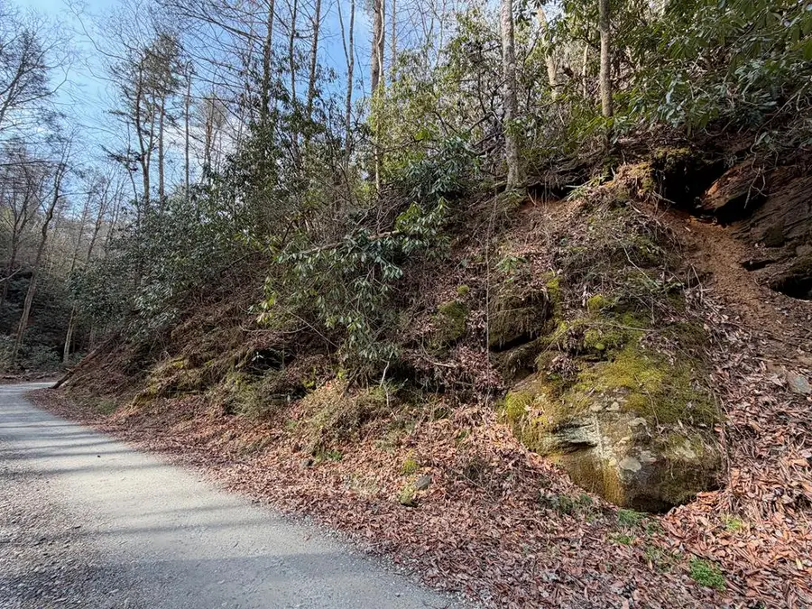 0.86 ac Webb Creek Road, Andrews, NC 28901 - #2