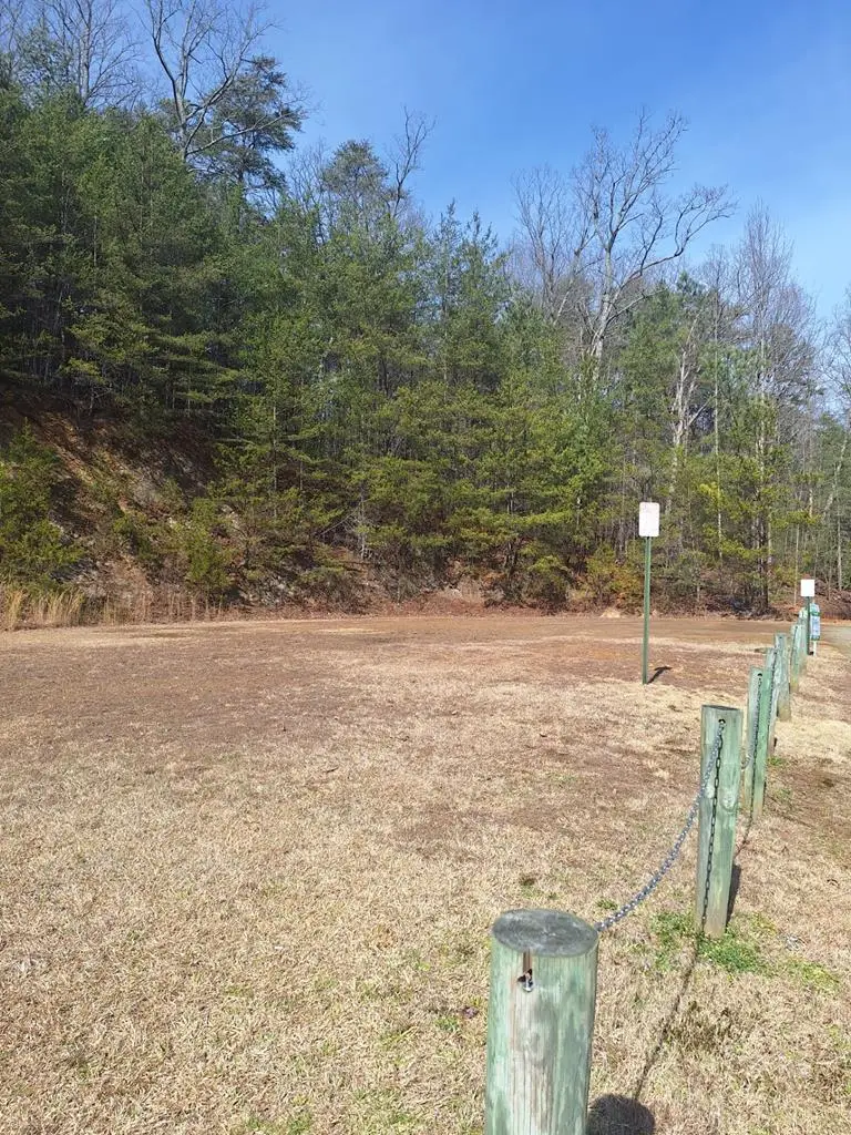 lot 123 Ridgehaven, East Ellijay, GA 30540 - #1