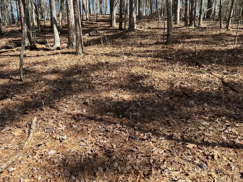 630 Armor Way, Ellijay, GA 30540 - #1