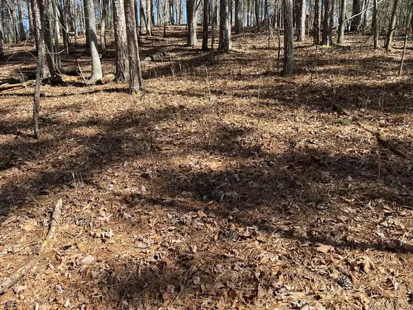 630 Armor Way, Ellijay, GA 30540