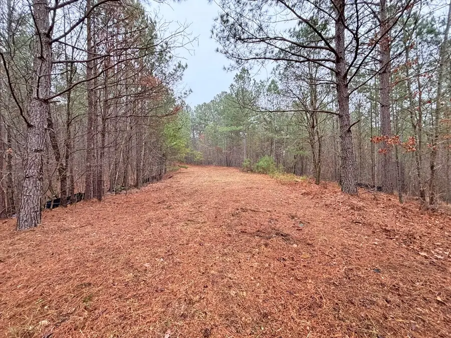 5AC Lovejoy Lane, Talking Rock, GA 30175 - #2