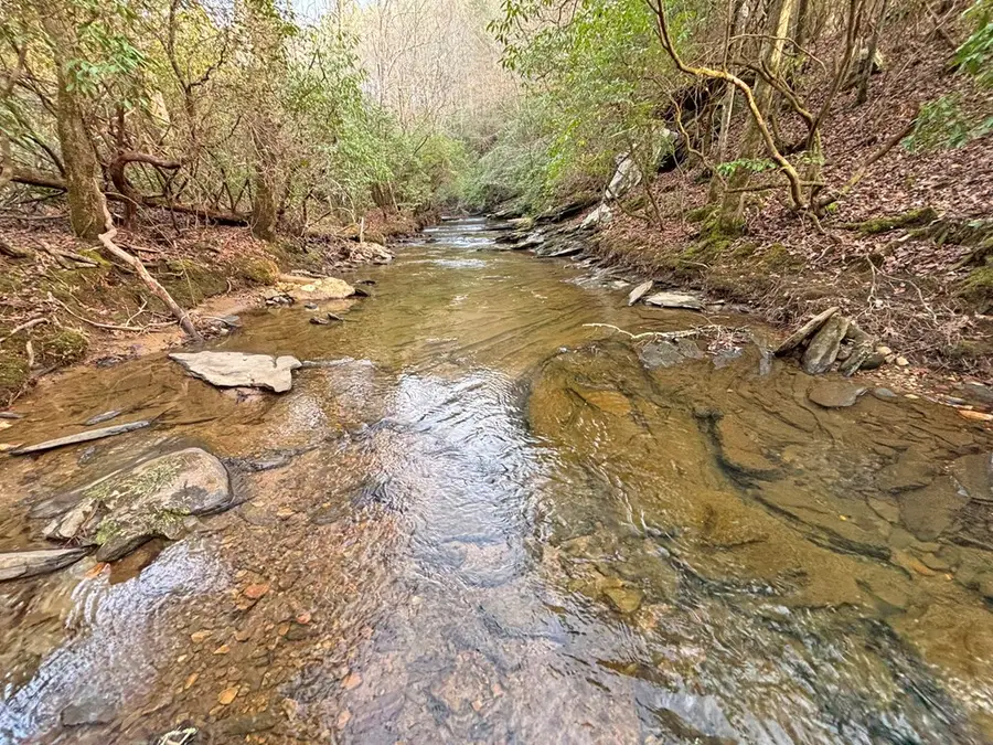 5AC Lovejoy Lane, Talking Rock, GA 30175 - #3