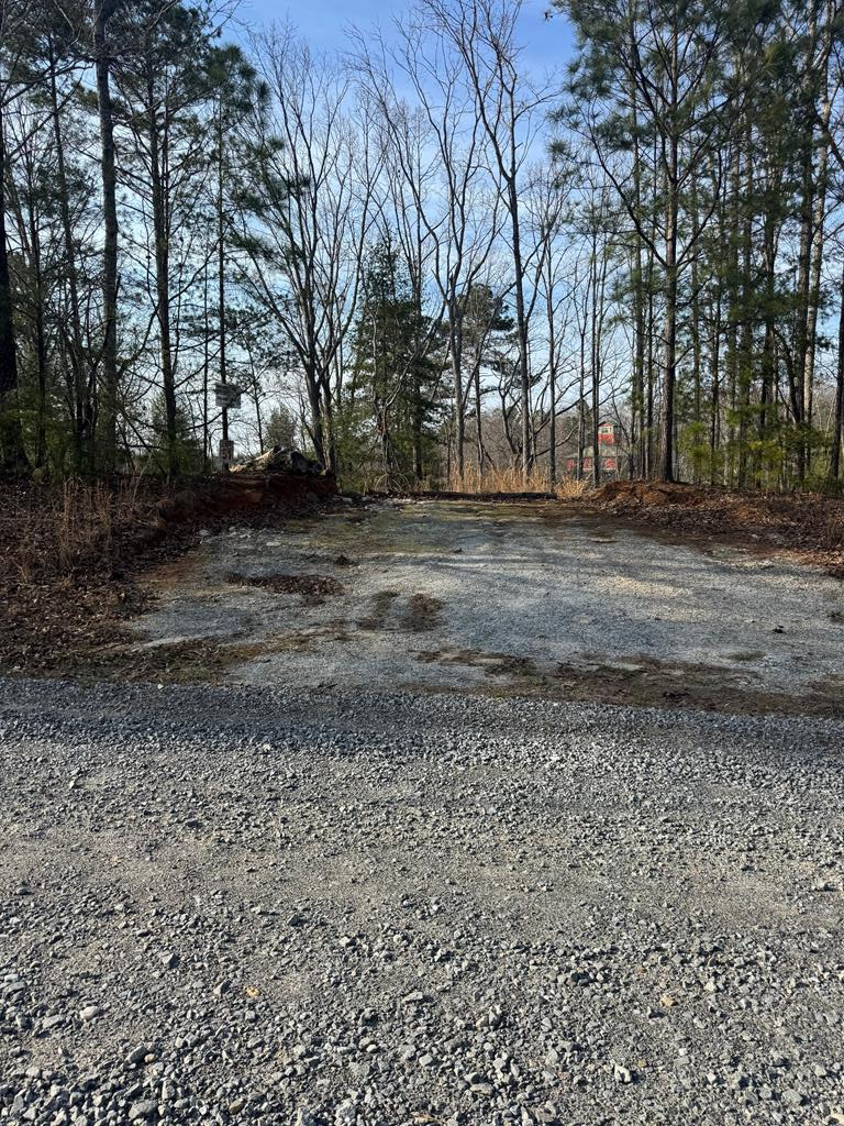 208 Lake Forest Drive, Ellijay, GA 30540 - #1