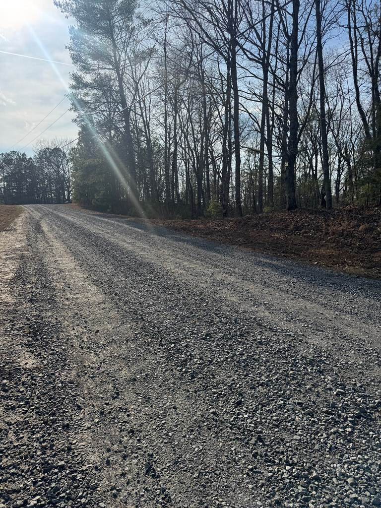 208 Lake Forest Drive, Ellijay, GA 30540 - #2