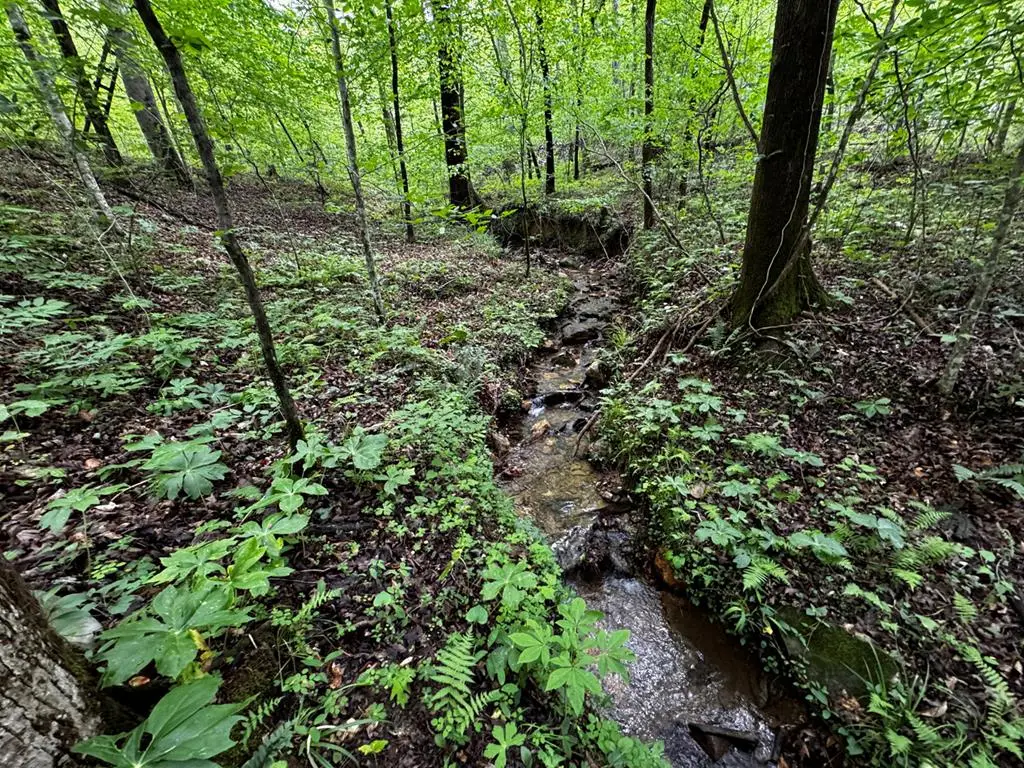 000 Fisher Creek Road, Talking Rock, GA 30175 - #1