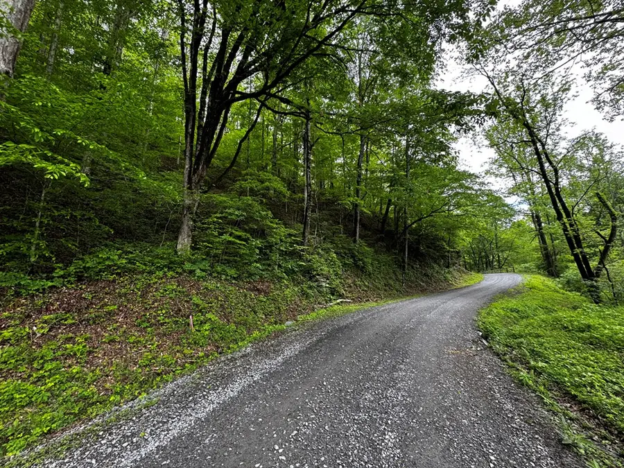 000 Fisher Creek Road, Talking Rock, GA 30175 - #3