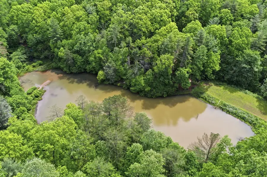 1564 Big Ben Road, Ellijay, GA 30540 - #2