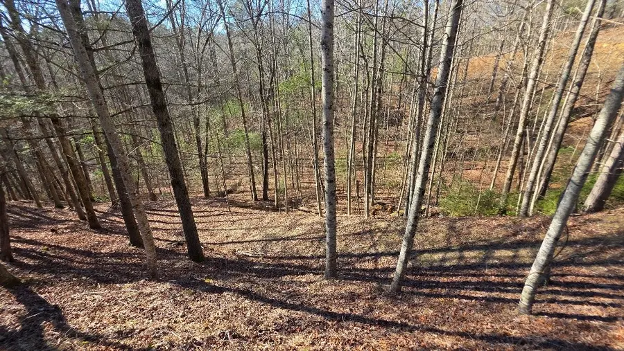 83R Cedar Road, Ellijay, GA 30540 - #3