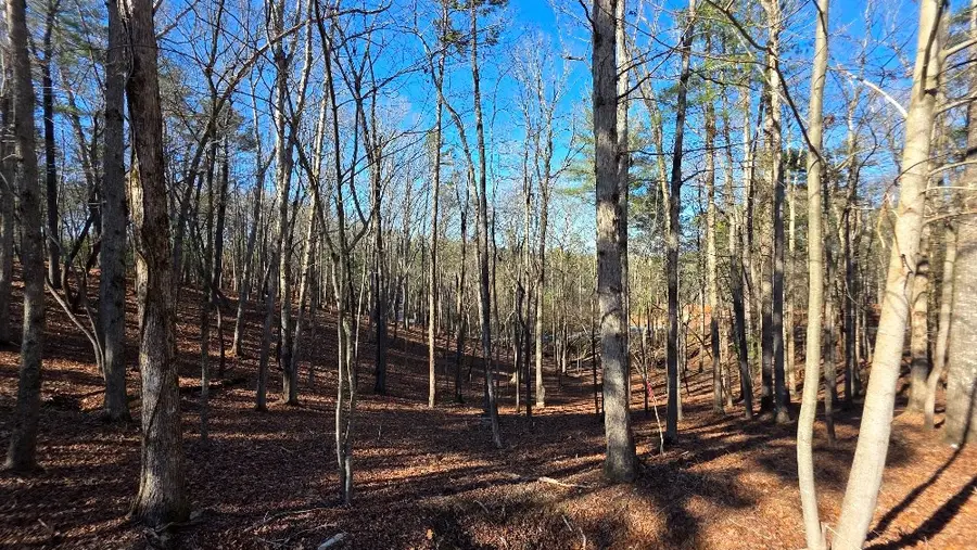 128R Red Oak Trail, Ellijay, GA 30540 - #3