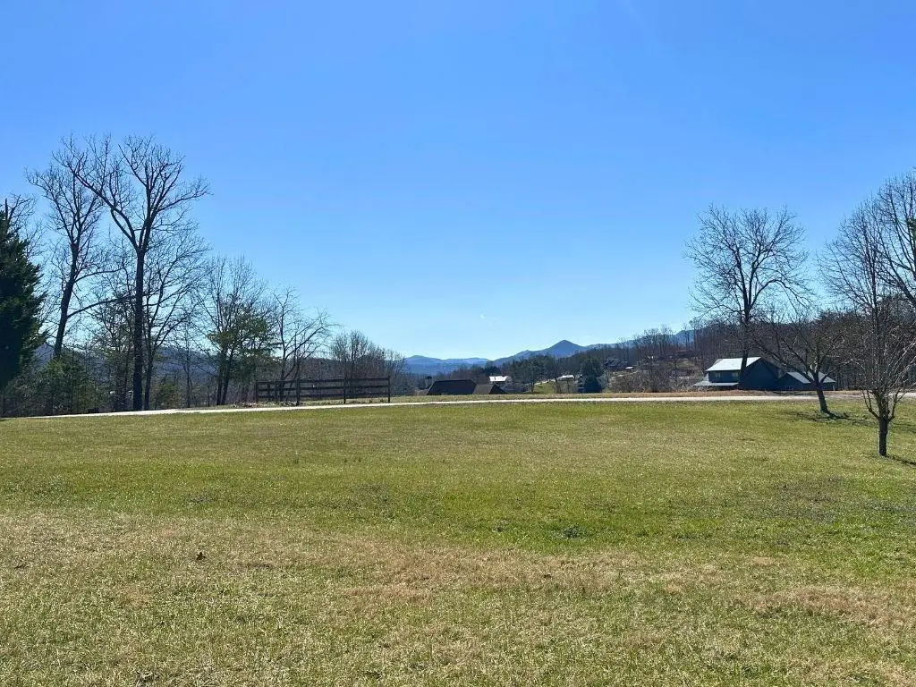 Lot 16 Meadows At Chatuge, Hayesville, NC 28904 - #1