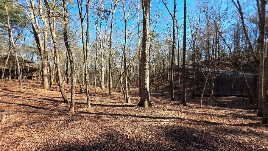 145R Red Oak Trail, Ellijay, GA 30540 - #3