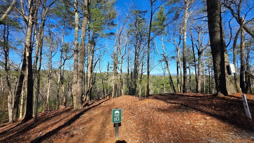 153 Red Oak Trail, Ellijay, GA 30540 - #1