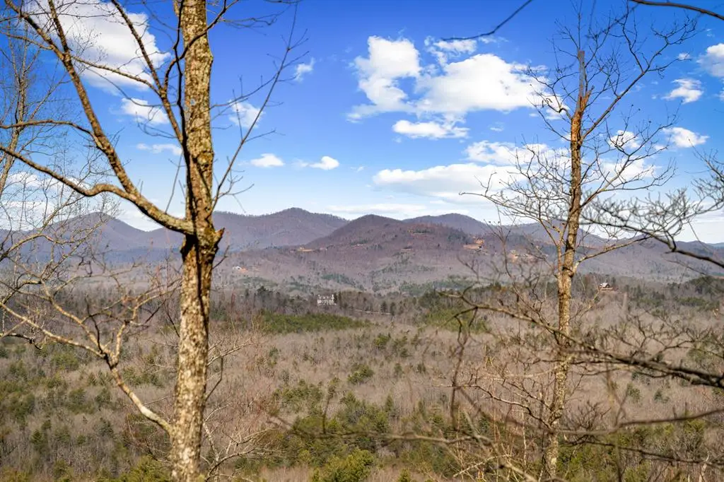 Lot 20 Raven Ridge Circle, Mineral Bluff, GA 30559 - #1