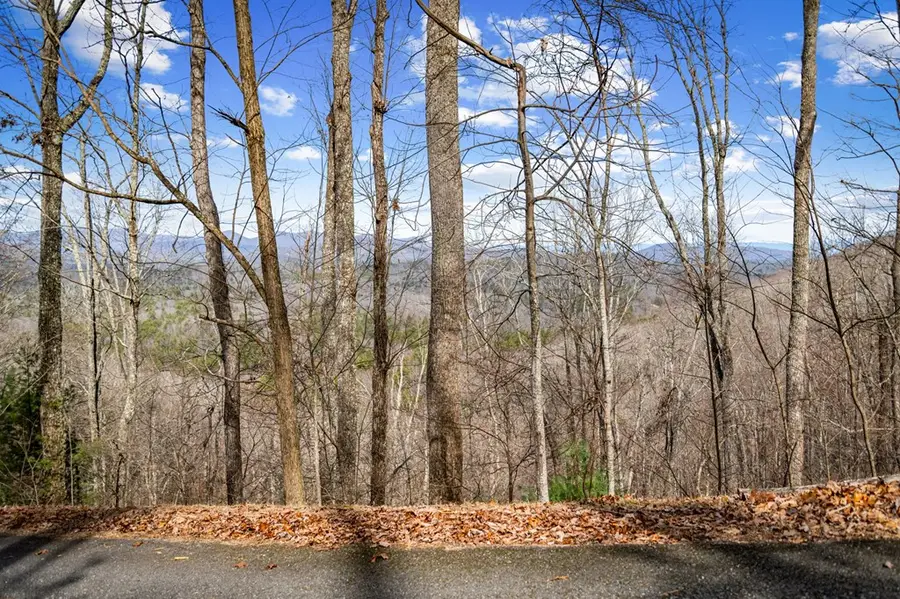 Lot 20 Raven Ridge Circle, Mineral Bluff, GA 30559 - #2