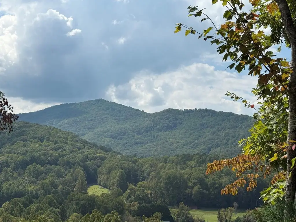 0000 Bethabara View, Hayesville, NC 28904 - #1