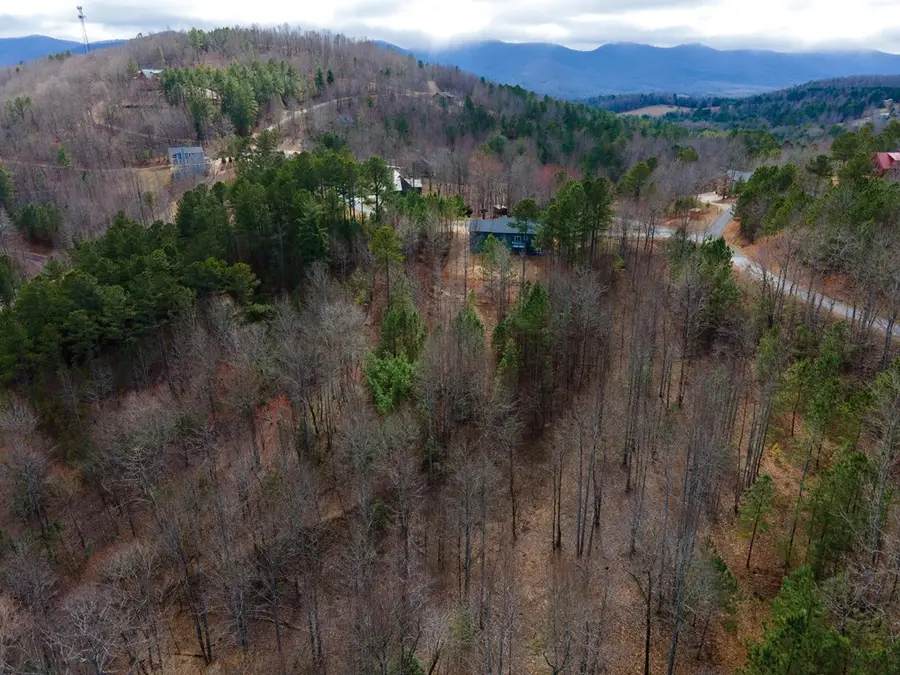 19/20 Summer Cove Road, Blairsville, GA 30512 - #2