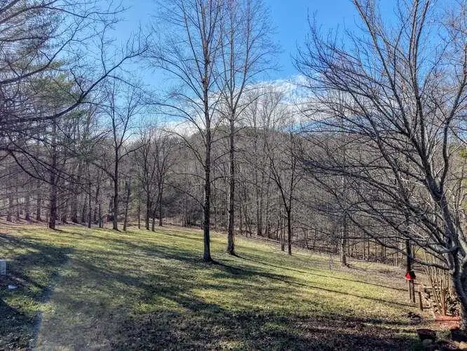 Lot 6, 7 Duncan Mill, Blairsville, GA 30512 - #1