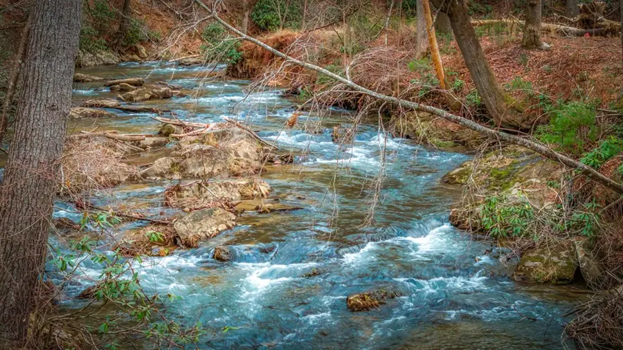 164 Water Dance Trail, Blue Ridge, GA 30513 - #2