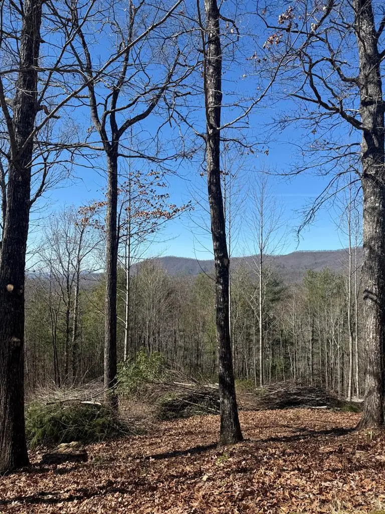 Lot 56 Fires Creek Cove Road, Hayesville, NC 28904 - #2