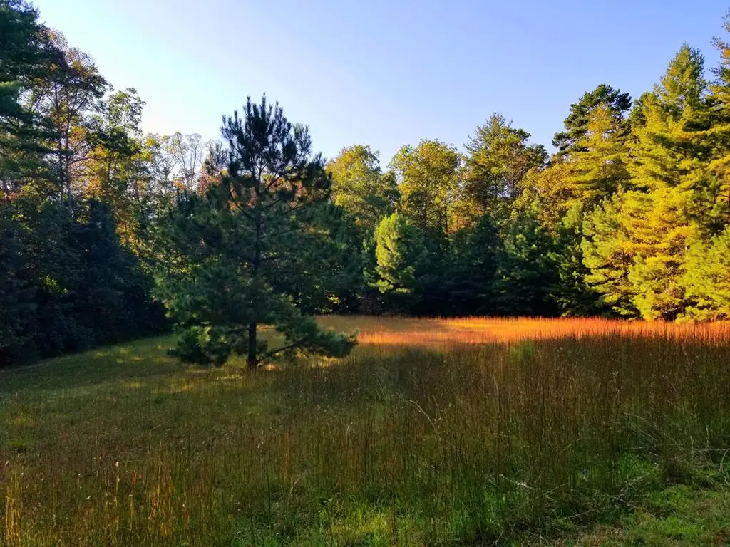 Lot 5 Creek Hollow Lane, Blairsville, GA 30512 - #1