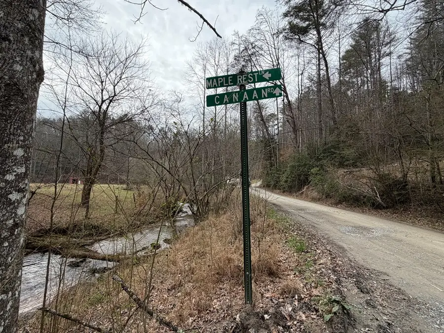 3.1 acre Maple Rest Lane, Ellijay, GA 30540 - #3