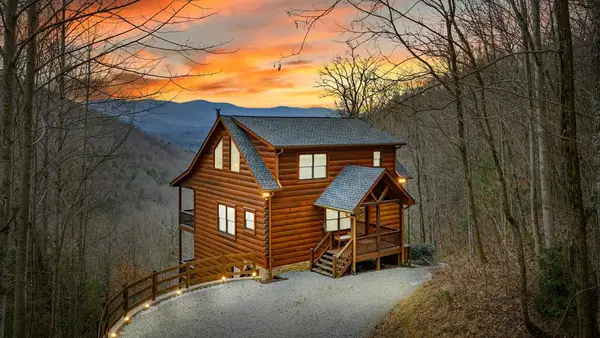 161 Cub Trail, Cherry Log, GA 30522