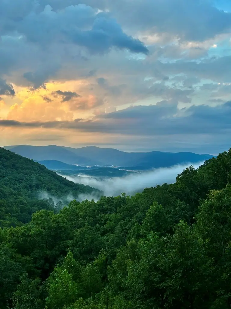 161 Cub Trail, Cherry Log, GA 30522 - #2