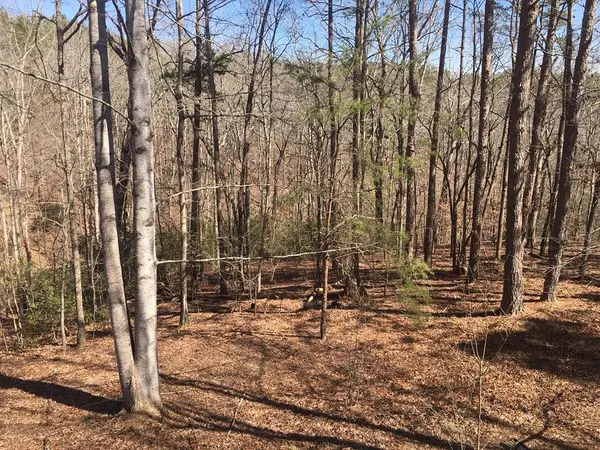 Lot 10 Olivia Lane, Ball Ground, GA 30107