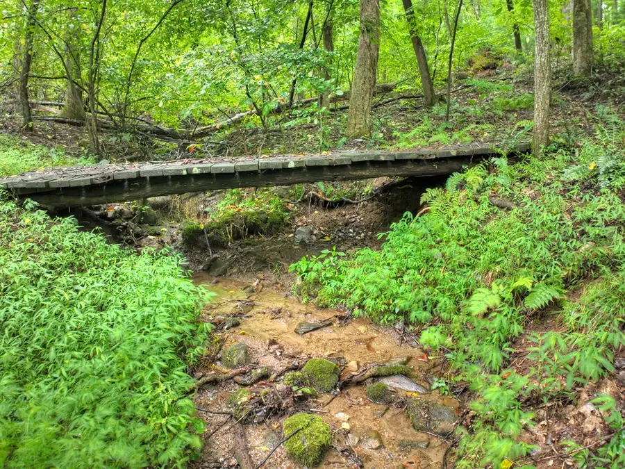 430 Chestnut Ridge, Blue Ridge, GA 30513 - #3