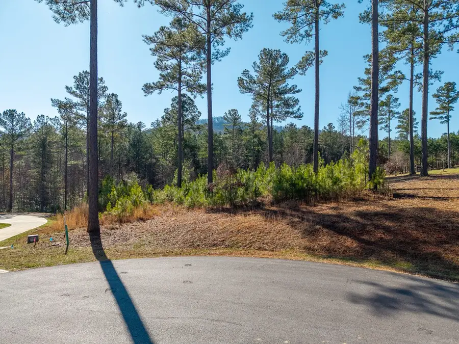 Lot 311 Hill Place, Blairsville, GA 30512 - #2